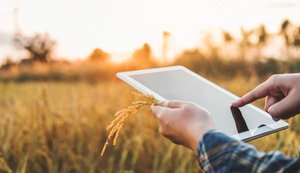 Цифровий інструмент для фермерів: Мінекономіки запускає єдину платформу аграрних знань та інновацій AKIS