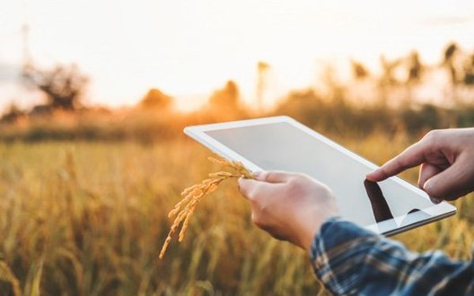 Цифровий інструмент для фермерів: Мінекономіки запускає єдину платформу аграрних знань та інновацій AKIS