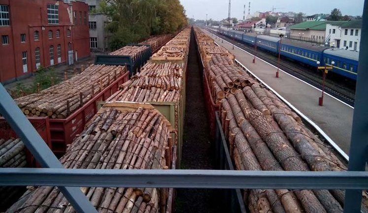 Що відомо про контрабанду лісу з України під виглядом дров