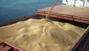 Ставки фрахту на перевезення українського зерна баржами продовжують зростати