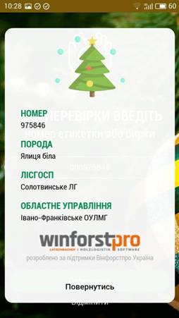 Перевірка легальності новорічних ялинок: Держлісагентство створило спеціальний додаток 03