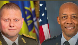 браун,залужний