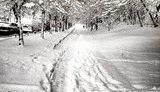 киев,снегопад