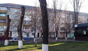 Жахи на вулиці в’язів: чому дерева обрізають під стовп?