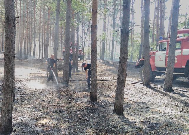 На Херсонщині знову горить ліс 01 На Херсонщині знову горить ліс 01