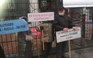 Реорганізація Державного податкового університету – це спроба змістити ректора та захопити землі вишу, – заява студентів та викладачів