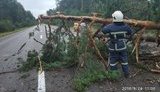 Через негоду без світла залишилися майже 200 населених пунктів у семи областях, - ДСНС