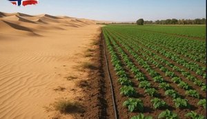 грунт,пустеля,пісок