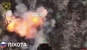 Артилерія 28-ї ОМБр рознесла 20 окупантів у лісосмузі. ВIДЕО