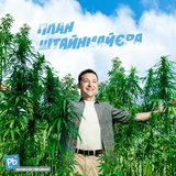 Хороший, наверное, план
