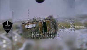 Воїни 3-го батальйону "Свобода" відбили штурм окупантів на Добропільсько-Покровському напрямку. ВIДЕО