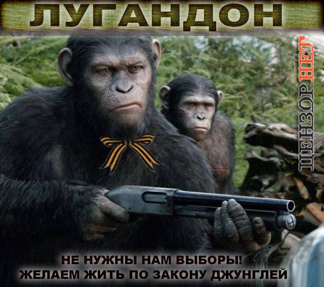 донбасс