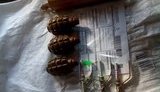 боеприпасы гранаты