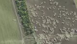 артиллеристы попали по оккупантам кассетными боеприпасами