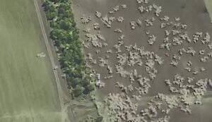 Cluster ammunition covers location of Russian troops and military equipment. VIDEO