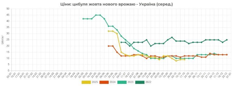 цибуля