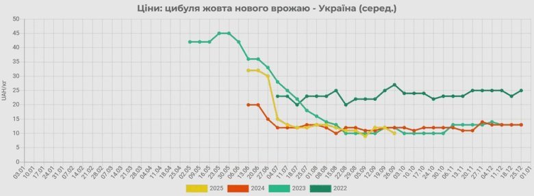 цибуля