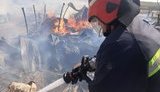 Правоохоронці вручили двом особам підозри в причетності до підпалів у зоні відчуження ЧАЕС, - МВС