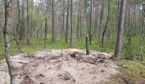польща