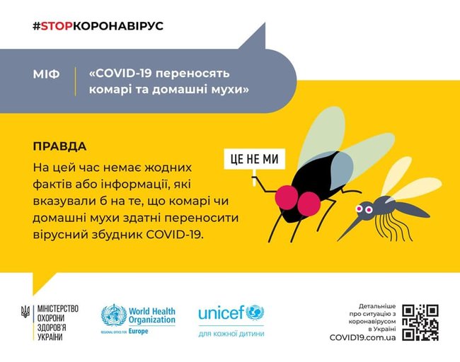 Мухи и комары не переносят коронавирус, - Минздрав 01