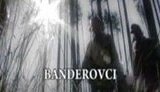 "Эхо войны: Бандеровцы: между "героями" и "бандитами"