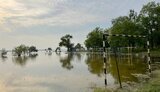 вода,миколаїв