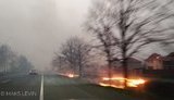 "Дуже схоже на сплановані підпали для нагнітання": зафіксовано загоряння у Бородянці під Києвом. ФОТО
