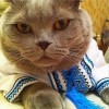 Укроп Петрович