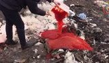 85 кілограмів червоної ікри розчавили бульдозером російські терористи в окупованому Луганську. ВIДЕО