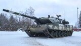 леопард,leopard