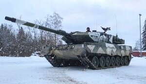 леопард,leopard