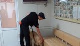 Лжеминирование всех 38 больниц Харькова квалифицировано как теракт, - полиция