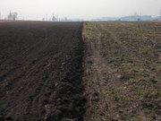 Підстав для зростання цін на сільськогосподарську землю немає: бульбашку надувають посередники