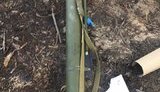 Рятувальники знайшли три РПГ-26 на місці лісової пожежі під Сєверодонецьком, - поліція. ФОТОрепортаж