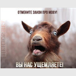 Голос из-за поребрика