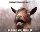 Голос из-за поребрика