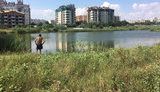 Застройщик засыпает ставок под Одессой, на берегу которого планировался парк им. Амины Окуевой. ВИДЕО