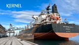 "Кернел" Веревського розглядає вихід із судноплавного бізнесу