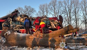 Автобус "Відень-Київ" потрапив у ДТП на Львівщині: дев’ять пасажирів звернулися по меддопомогу. ФОТОрепортаж