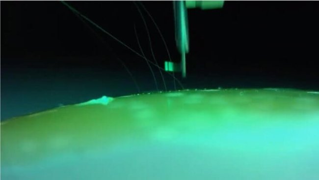 Цензор.НЕТ Изображение