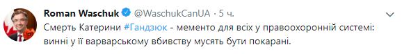 Виновные в варварском убийстве Гандзюк должны быть наказаны, - посол Канады Ващук 01
