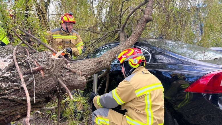последствия непогоды