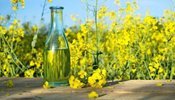 Удар по польському ринку: Україна починає експортувати не ріпак, а олію