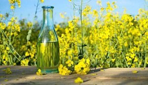 Удар по польському ринку: Україна починає експортувати не ріпак, а олію