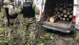 Пограничники на Житомирщине пресекли вывоз в РФ 3 кубометров леса-кругляка. ФОТОрепортаж