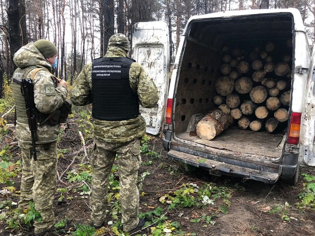 Пограничники на Житомирщине пресекли вывоз в РФ 3 кубометров леса-кругляка 01