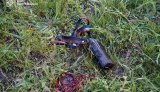 загиблі рятувальники