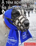 Чтоб не болтали лишнего...