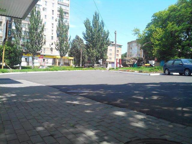 снежное бук