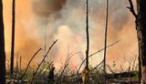 В Чернобыльской зоне тушат пожары